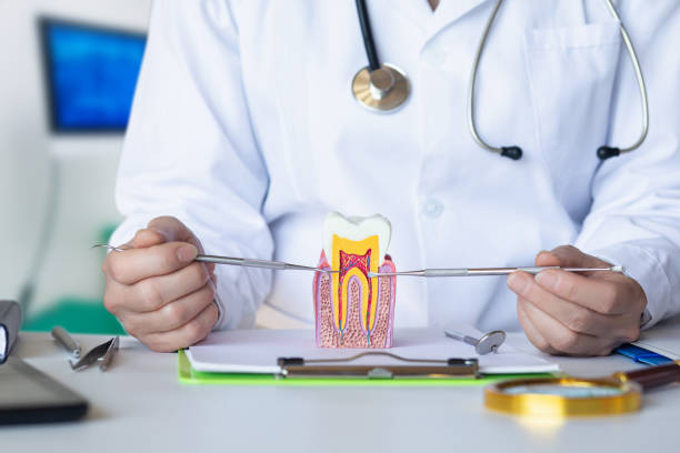 Best Weekend Emergency Dentist in Concord, VA
